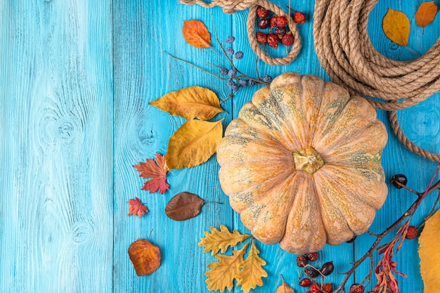 bright autumn festive background with pumpkin berries and leaves on a blue background