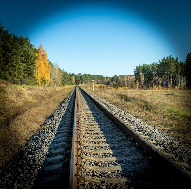 Bright autumn landscape the rail track illuminated by the rays of the sun goes into perspective