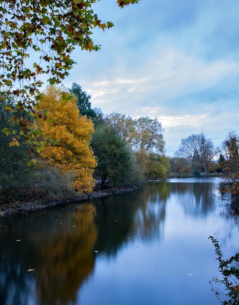 bright autumn trees reflected in the lake in the park