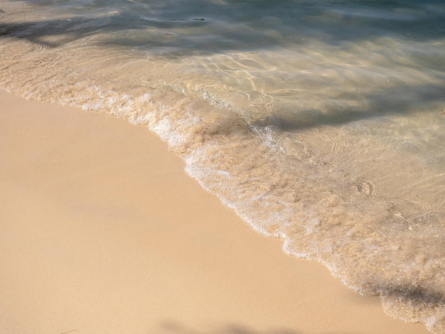 Bright beach background movement of clear sea water and wave surf on clean sandy beach ocean seashore scene coastline Tropical tree shade on the beach summer vacation holiday poster background