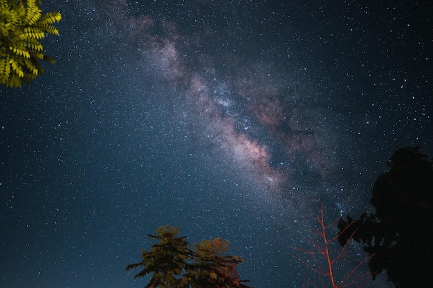 Bright and Beautiful Milky Way