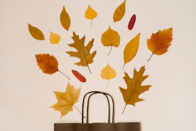 Bright bouquet of autumn fallen leaves in a gift brown paper bag