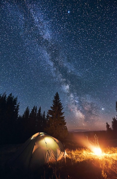 Bright campfire and tent in night forest