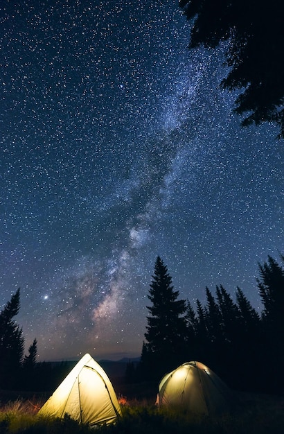 Bright campfire and tents in night forest