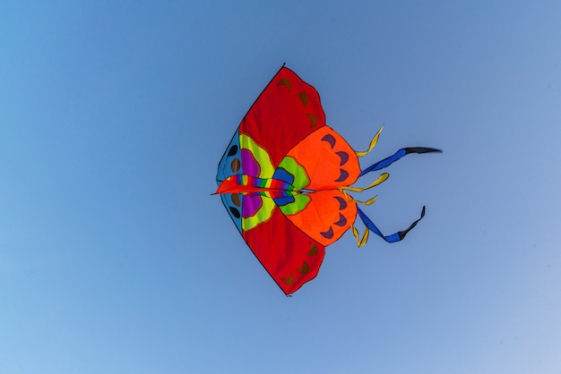 Bright colorful kite flying in the blue clear sky