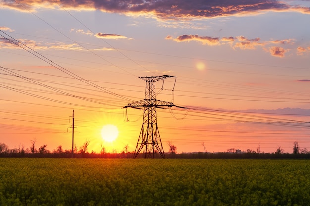 Bright colorful sunset canola field power lines on sunset background