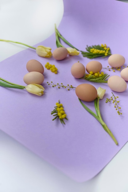 Bright composition of chiken eggs and yellow tulips on a purple background