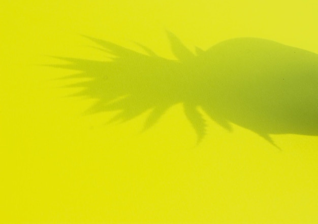 A bright exotic shadow of a pineapple fruit on a green light green background