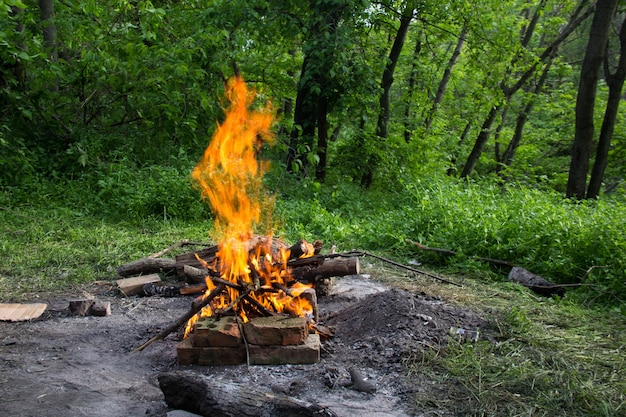 Bright fire bonfire in the spring forest.