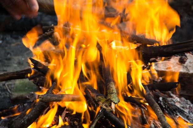 Bright fire bonfire in the spring forest.