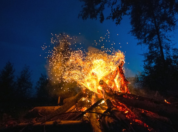 Bright fire on a dark night in a forest glade.