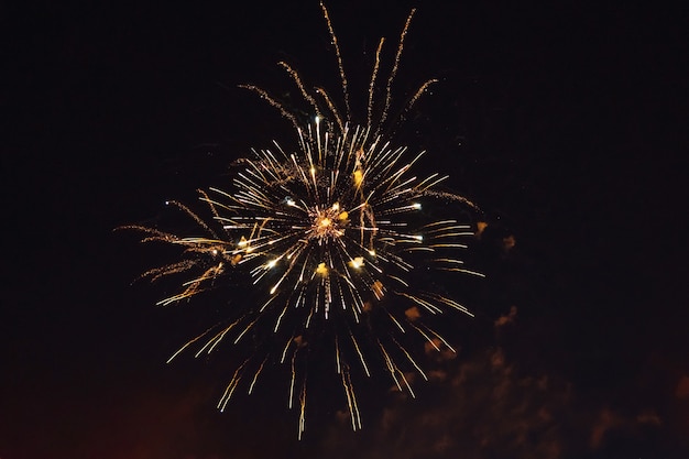 Bright fireworks in the night sky