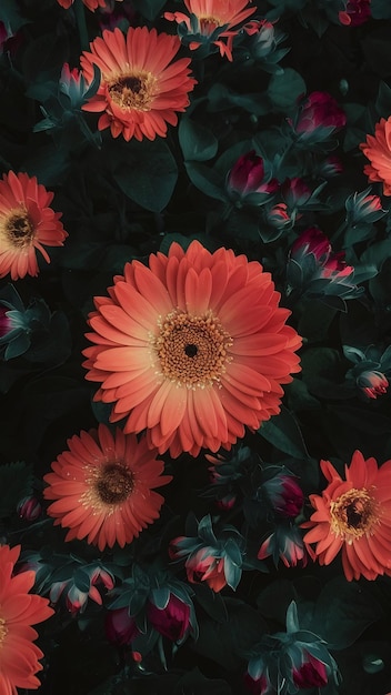 Bright flowers background