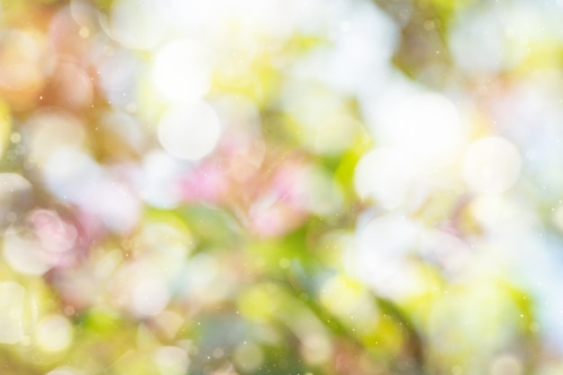 Photo bright glowing green nature background in the form of bokeh natural defocus art abstract blur tones