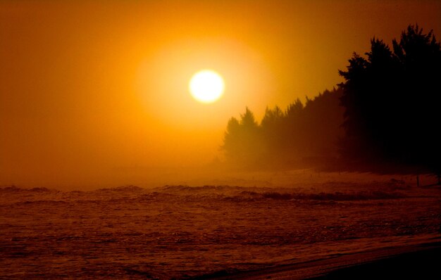 Photo bright glowing sunset in the beach