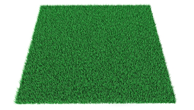 Bright green lawn on a white background. 3d illustration