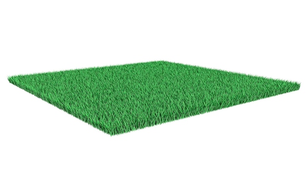 Bright green lawn on a white background. 3d illustration