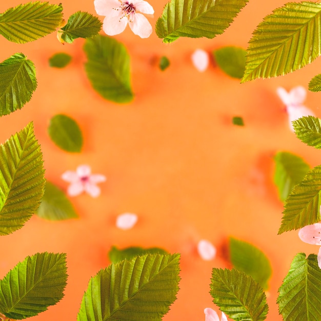 Bright green leaves and pink flowers on a peach table.