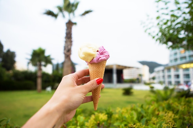 Bright ice cream in the hands of a beautiful palm tree