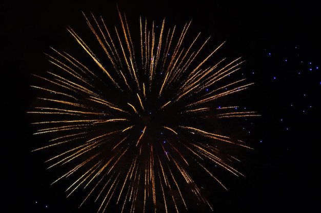 Bright lights of the firework on black sky