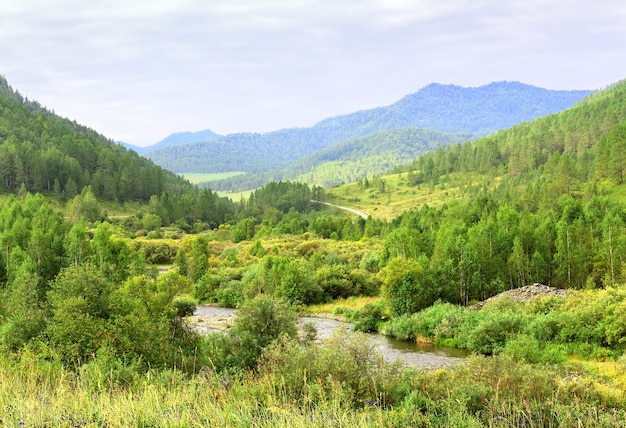 Bright lush vegetation on the mountain slopes under a blue cloudy sky Siberia Russia