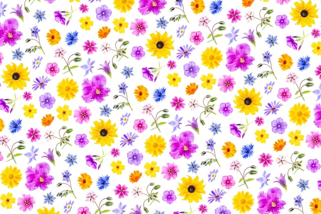 Bright pattern of colorful flowers on a white background as a backdrop or texture Spring summer f