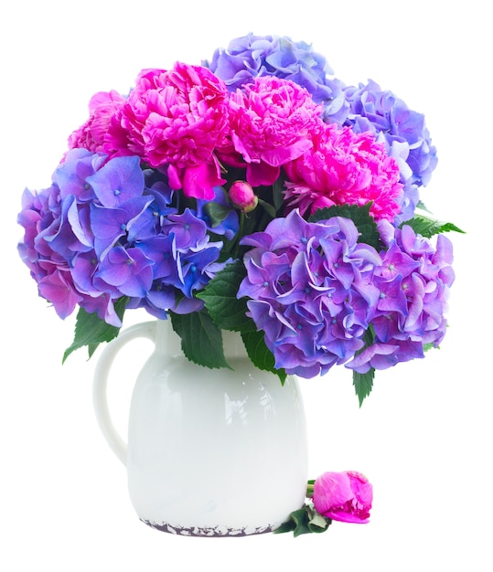 Bright pink peony, eustoma and blue hortensia fresh flowers bouquet in vase isolated on white