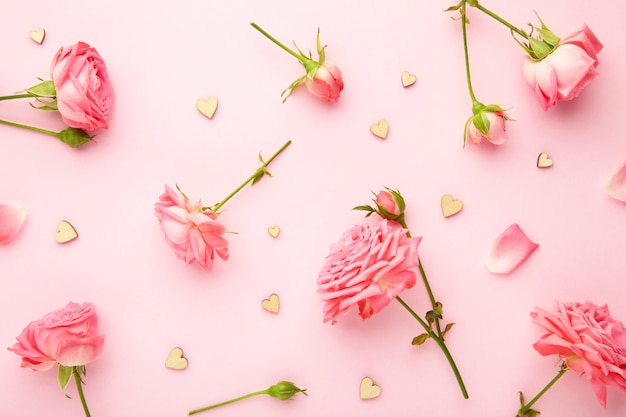 Bright pink roses on pink