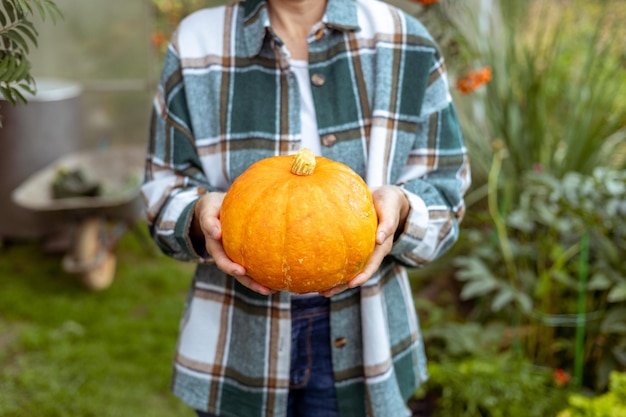 Bright ripe pumpkin in women's hands. Concept harvest, Halloween party, Thanksgiving day.