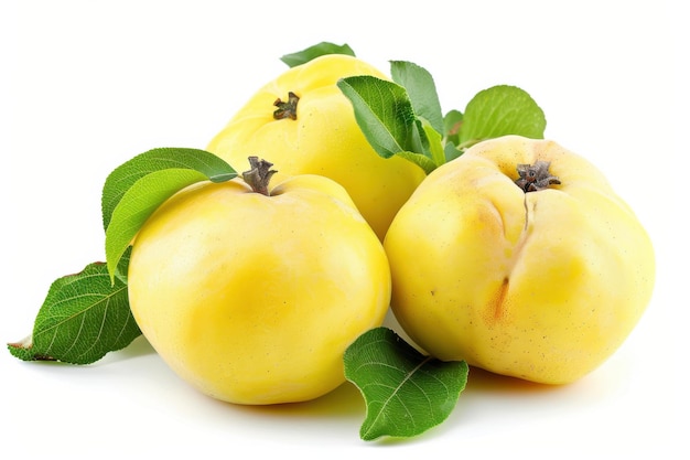 Photo bright ripe quinces with fresh green leaves set against a clean white background