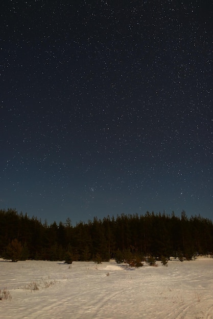 Bright stars in the night sky Winter landscape lit by the light of the moon