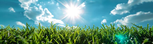 Photo the bright sun clear blue sky lush grass create an energizing atmosphere