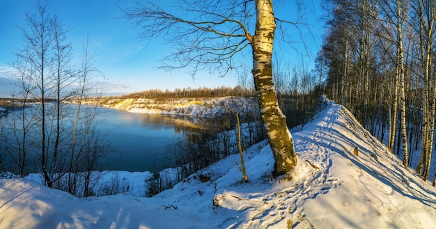 The bright sun illuminates the bare trees on the high shore of the reservoir The first snow cover