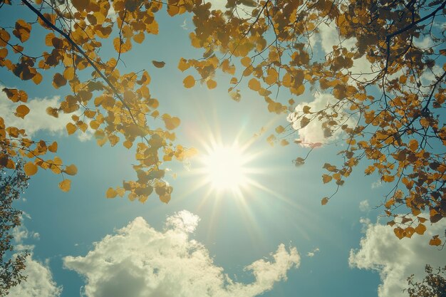 Photo bright sunlight shining through autumn leaves against a clear blue sky in a serene outdoor setting