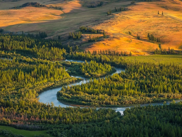 Bright sunny autumn landscape with winding river and sunlit gold valley with green fir trees on mountainside under cloudy sky Awesome alpine scenery with beautiful mountains in golden sunshine