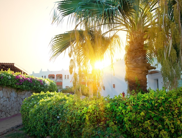 Bright sunrise over resort hotel in Egypt