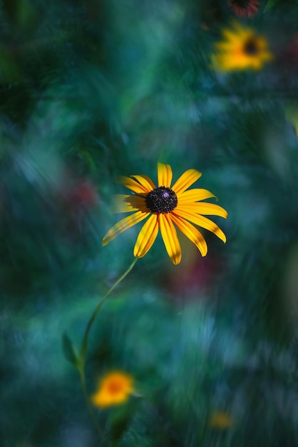 Bright yellow flower on a blurred background Summer wonderland Enchanted garden