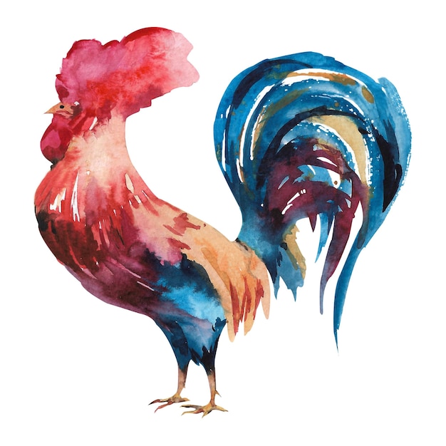 Brightcolored rooster Handdrawn illustration Watercolor painting Rooster on a white background