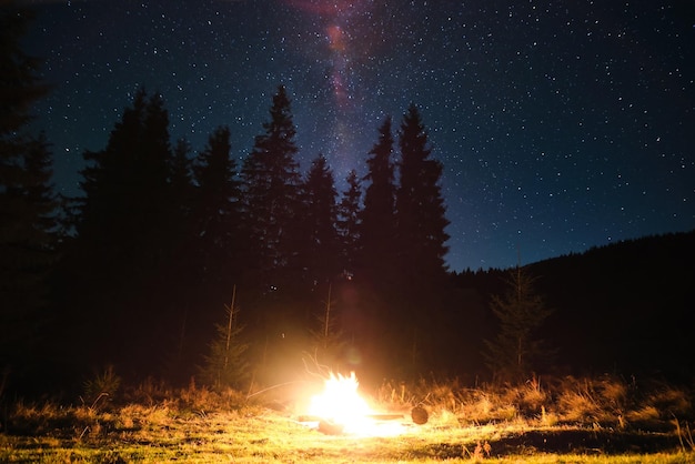 Brightly burning bonfire in dark mountain woods under starry night sky