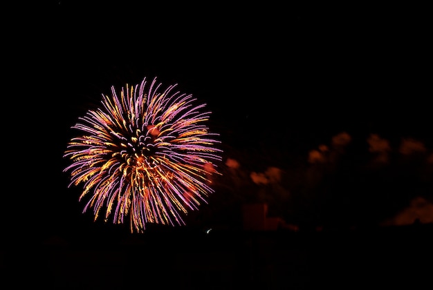 Brightly colored fireworks