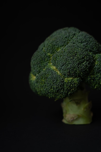 broccoli on a dark background