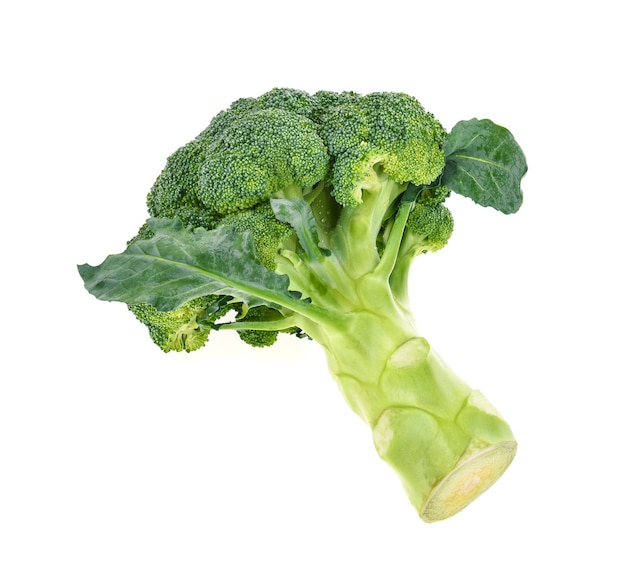 Broccoli isolated