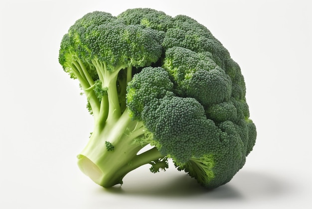 Broccoli raw and fresh isolated white background generative AI