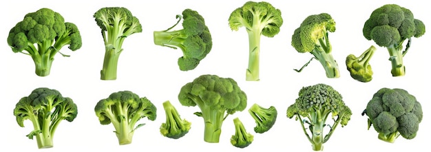 broccoli set isolated on white background