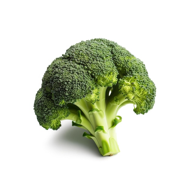 Broccoli on white background Generative AI