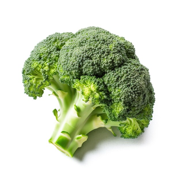 Broccoli on white background Generative AI