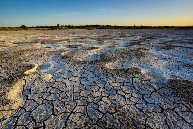 Broken dry soil in a Pampas lagoon La Pampa province Patagonia Argentina