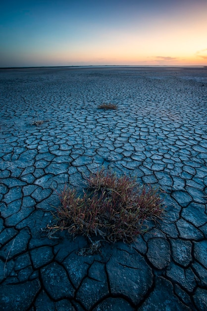 Broken dry soil in a Pampas lagoon La Pampa province Patagonia Argentina