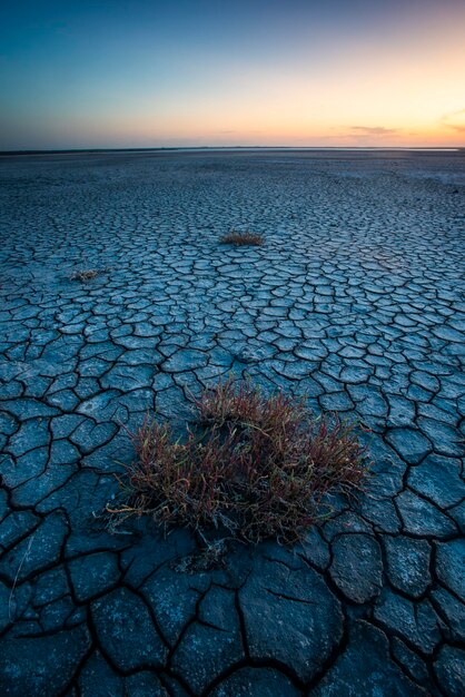 Photo broken dry soil in a pampas lagoon la pampa province patagonia argentina