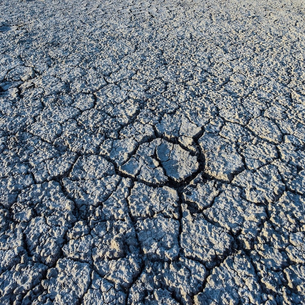 Broken dry soil in a Pampas lagoon La Pampa province Patagonia Argentina